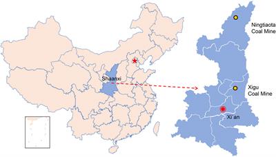 Effect of disturbed coal pore structure on gas adsorption characteristics: mercury intrusion porosimetry